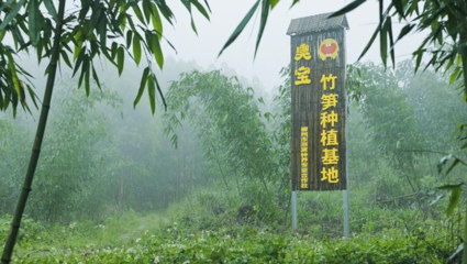 臭寶螺螄粉深耕供應鏈，嚴控品質贏得消費者青睞