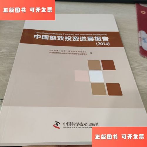 中國能效投資進展報告